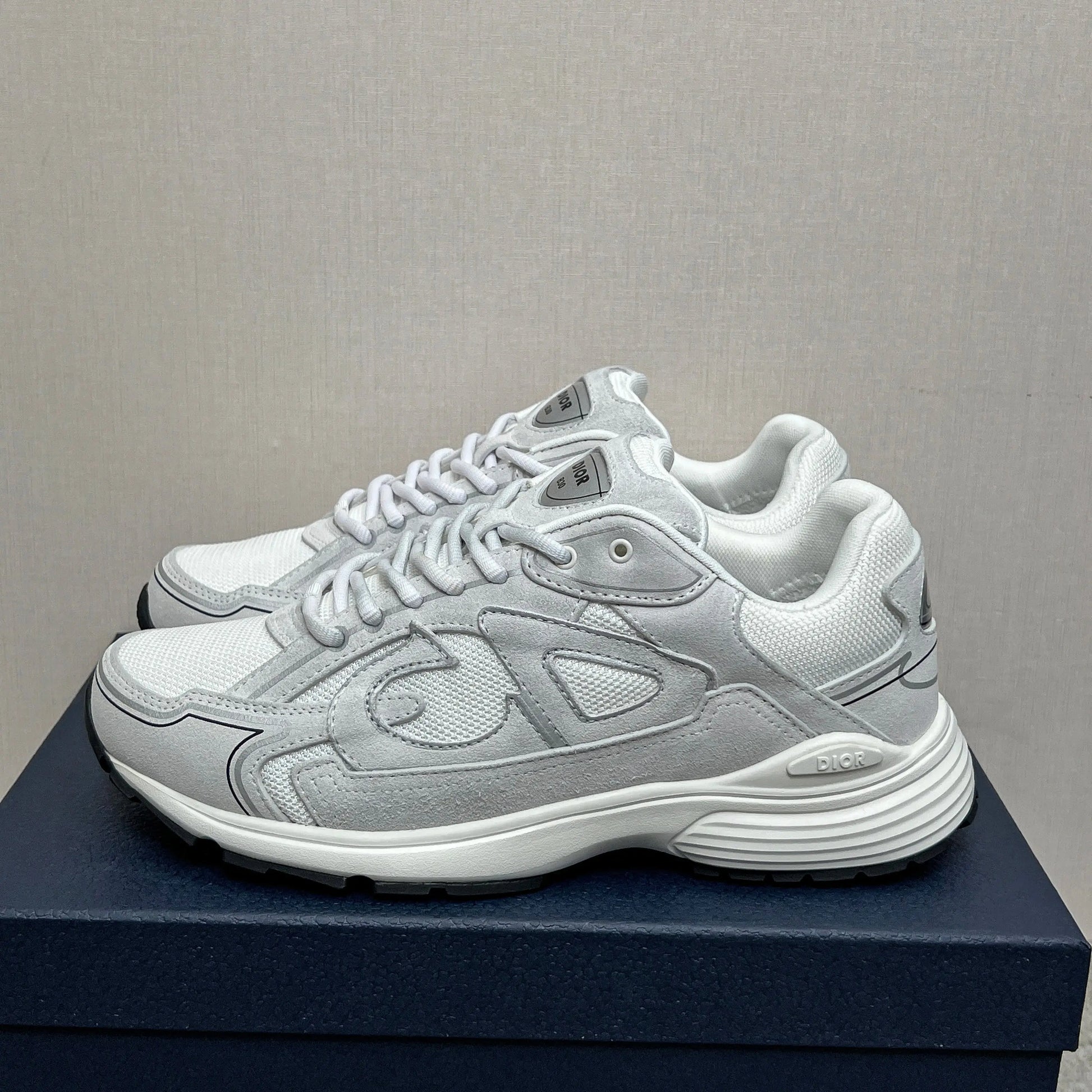 Dior B30 Countdown Sneaker in Suede SECOND SOURCE