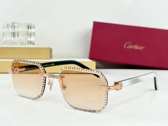 Cartier Frost Frames Collection 2 SECOND SOURCE