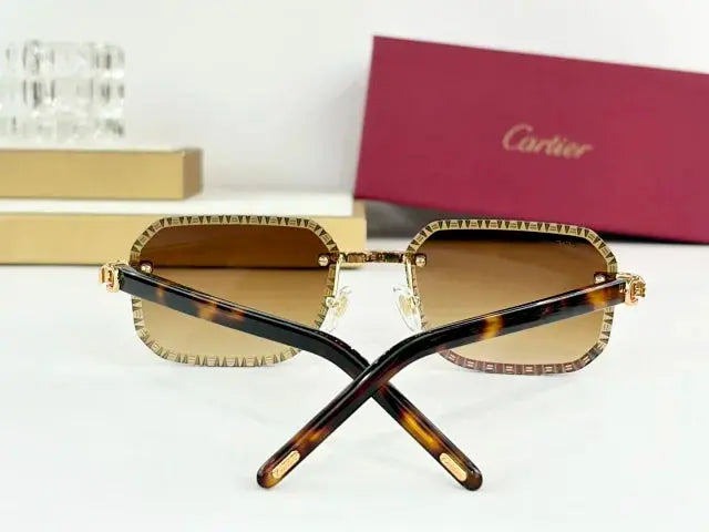 Cartier Frost Frames Collection 2 SECOND SOURCE