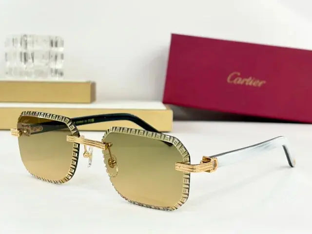 Cartier Frost Frames Collection 2 SECOND SOURCE